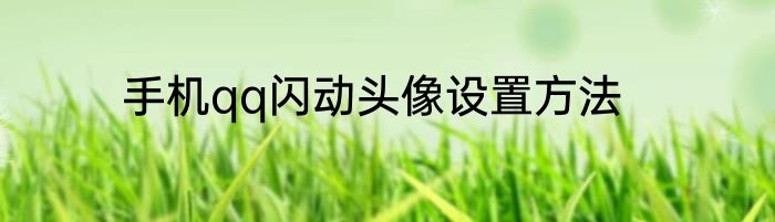 手机qq闪动头像设置方法