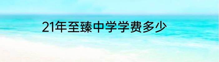 21年至臻中学学费多少