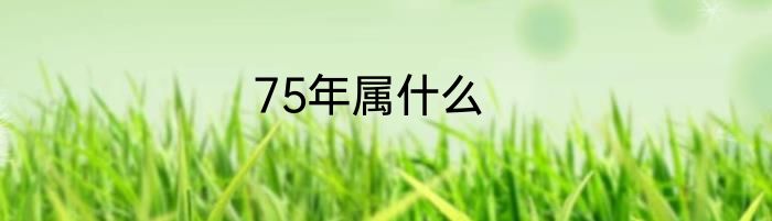 75年属什么