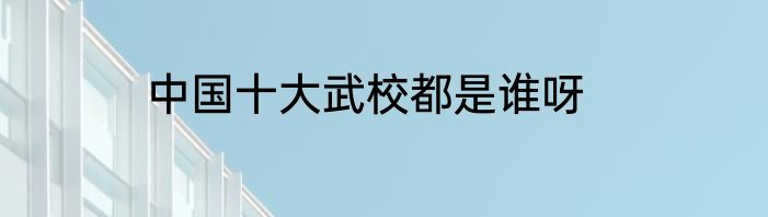 中国十大武校都是谁呀