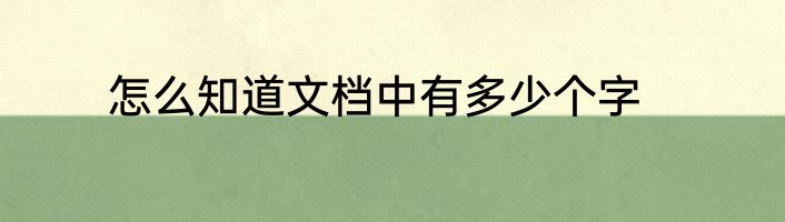 怎么知道文档中有多少个字