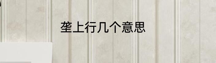 垄上行几个意思