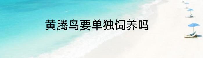 黄腾鸟要单独饲养吗