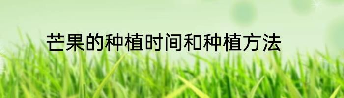 芒果的种植时间和种植方法