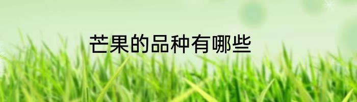 芒果的品种有哪些