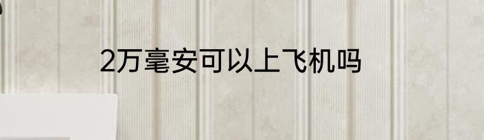 2万毫安可以上飞机吗