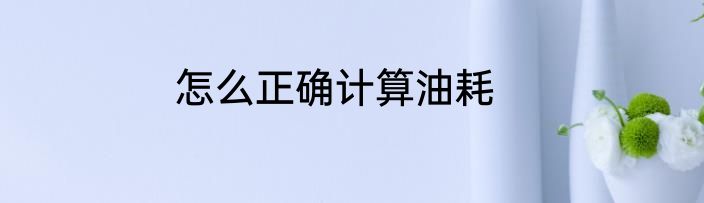 怎么正确计算油耗