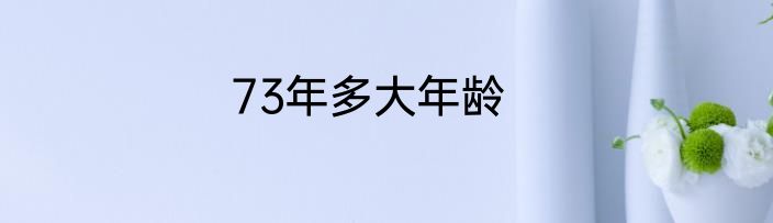73年多大年龄