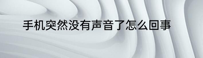 手机突然没有声音了怎么回事