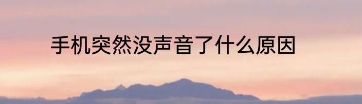 手机突然没声音了什么原因