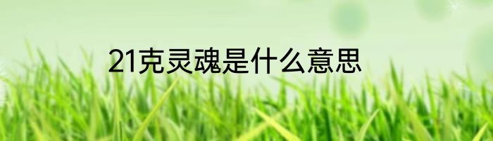 21克灵魂是什么意思
