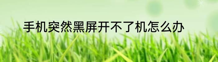 手机突然黑屏开不了机怎么办