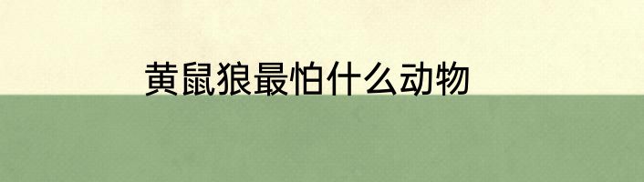 黄鼠狼最怕什么动物