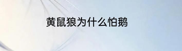 怎么照顾小猫