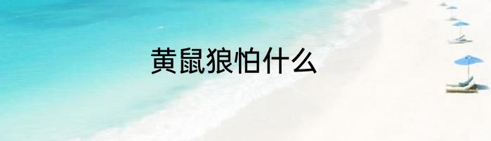 黄鼠狼怕什么