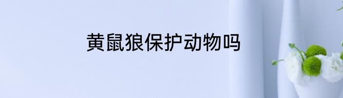 美的烤箱怎么用