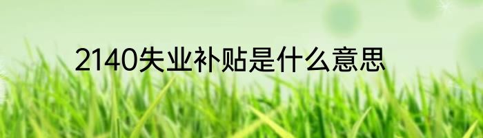 2140失业补贴是什么意思