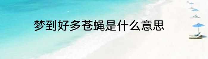 梦到好多苍蝇是什么意思