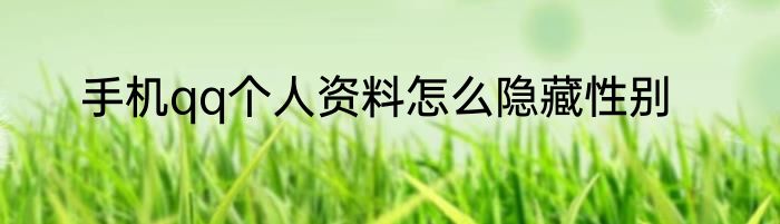 手机qq个人资料怎么隐藏性别