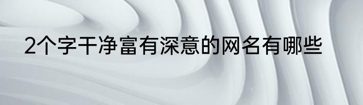 2个字干净富有深意的网名有哪些