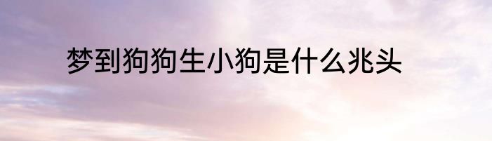 梦到狗狗生小狗是什么兆头