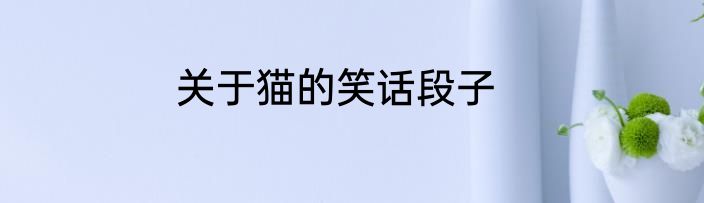关于猫的笑话段子