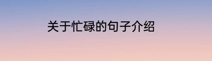 关于忙碌的句子介绍