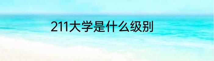 211大学是什么级别