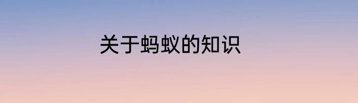 关于蚂蚁的知识