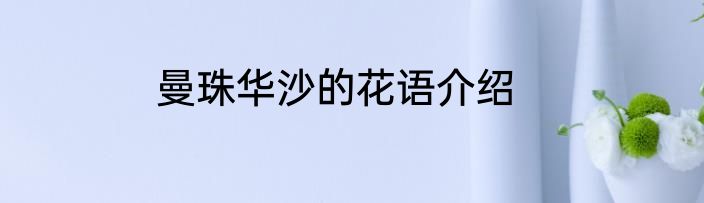 曼珠华沙的花语介绍