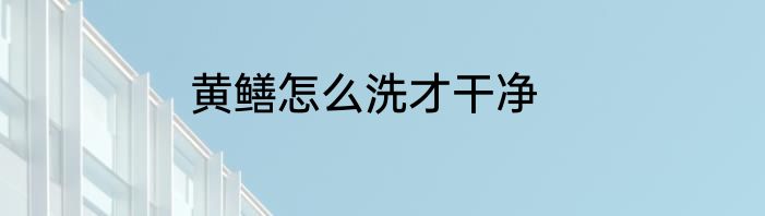 黄鳝怎么洗才干净
