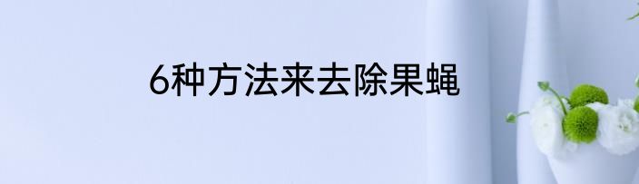 6种方法来去除果蝇