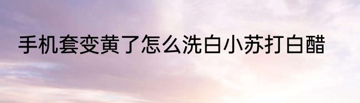 手机套变黄了怎么洗白小苏打白醋