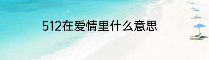 512在爱情里什么意思