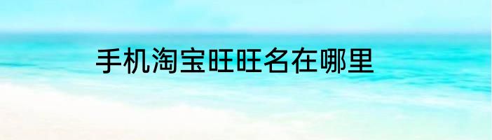 手机淘宝旺旺名在哪里