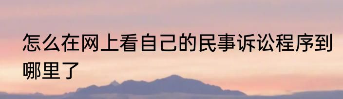 怎么在网上看自己的民事诉讼程序到哪里了