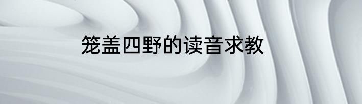 笼盖四野的读音求教