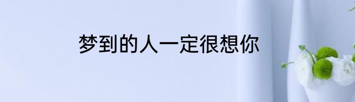 梦到的人一定很想你