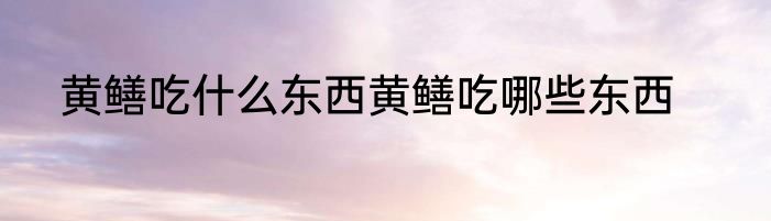 黄鳝吃什么东西黄鳝吃哪些东西