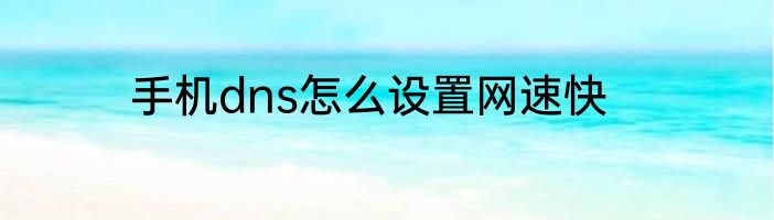 手机dns怎么设置网速快