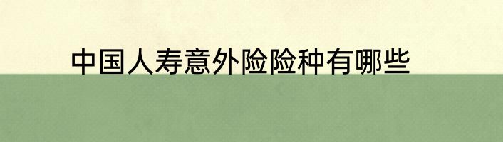 中国人寿意外险险种有哪些