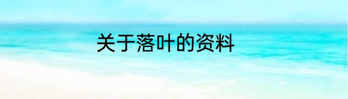 关于落叶的资料