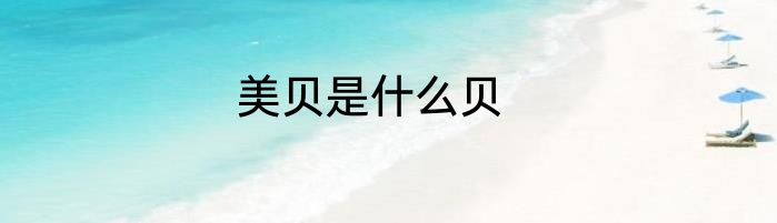 美贝是什么贝