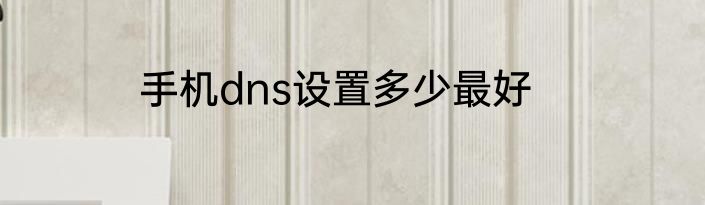 手机dns设置多少最好