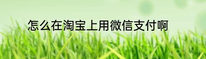 怎么在淘宝上用微信支付啊