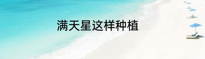 满天星这样种植