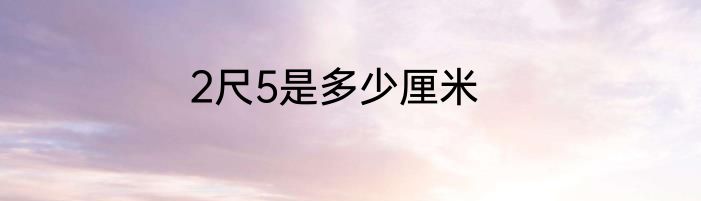 2尺5是多少厘米