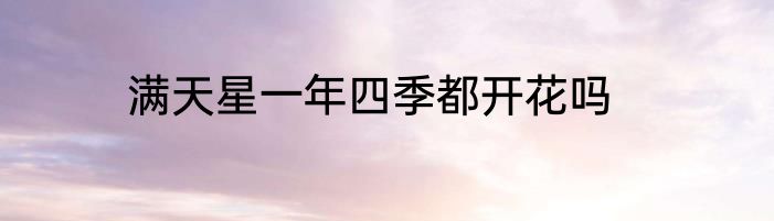 满天星一年四季都开花吗