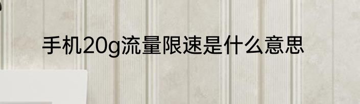 手机20g流量限速是什么意思