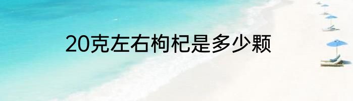 20克左右枸杞是多少颗